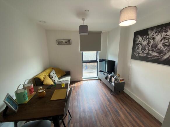 living area.jpg