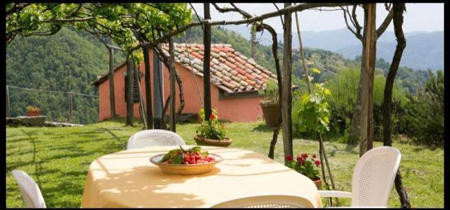 garden