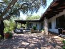 3 bed Country House in Andalucia, Cdiz...