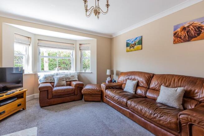 Sunnyside 3 (27 of 43).jpg