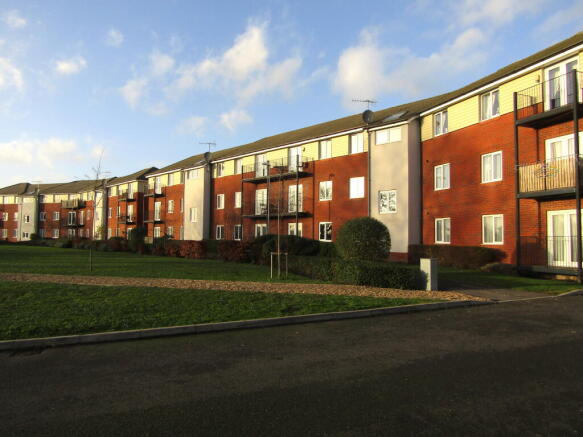 Photo 01