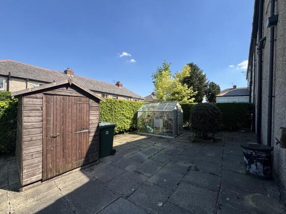Back garden 2