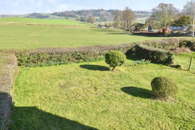 Garden & View