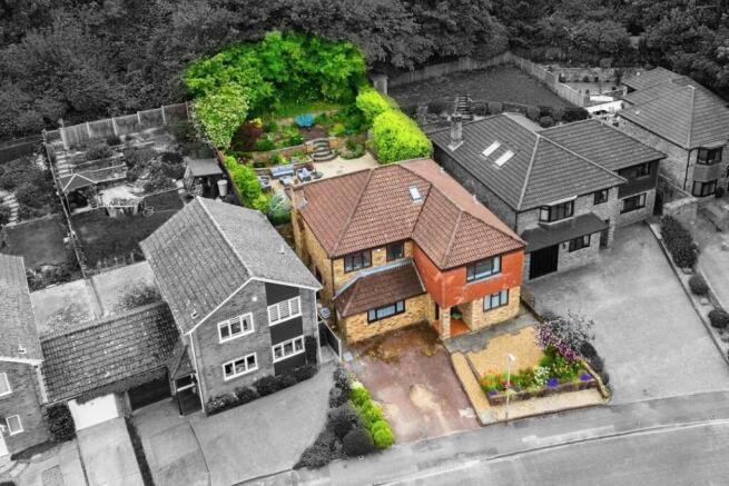 Drone View
