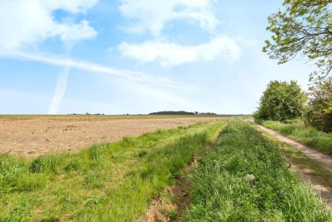 Fields