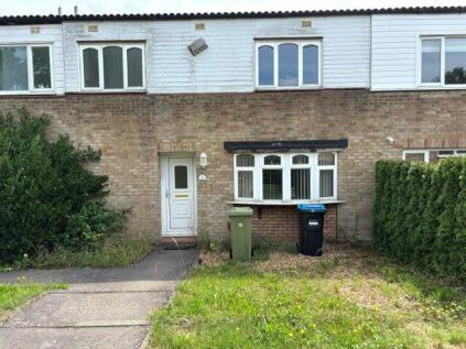 White Alder, Stacey Bushes, Milton Keynes, Buckinghamshire, MK12