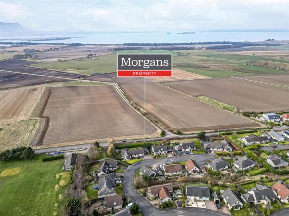 untitled (103 of 1).jpg