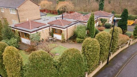 The Generals Wood, Washington, Tyne and Wear, NE38