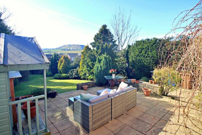 Rear Patio and View