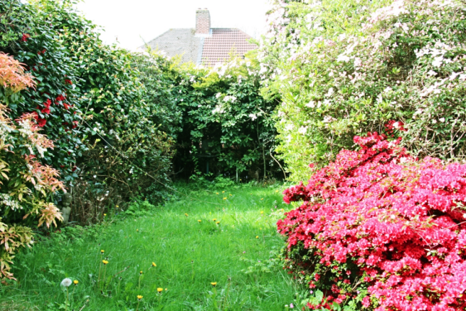 Back Garden