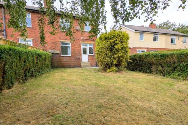 PXL_20250624_094153710_inPixio