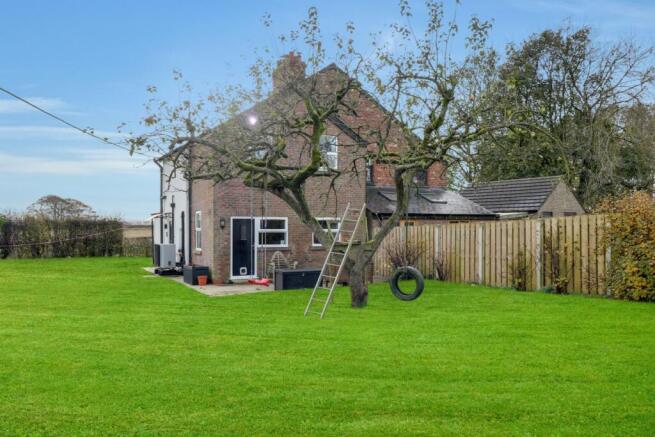 Garden with tree 
