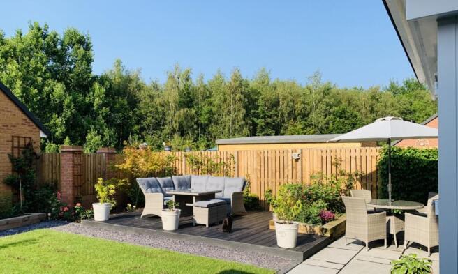 Garden in Summer time