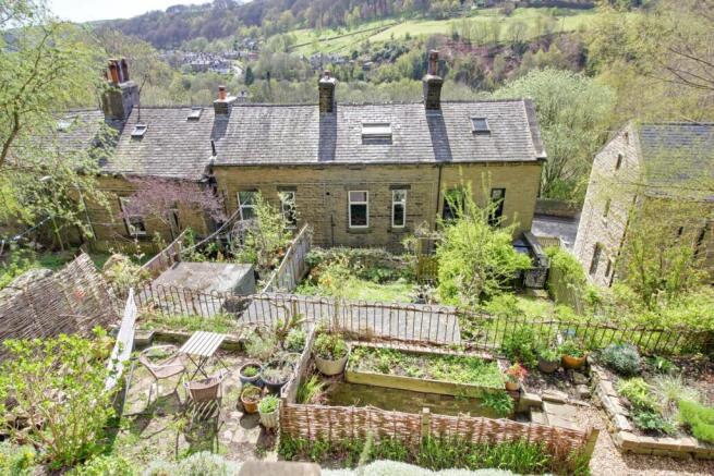 Back Garden