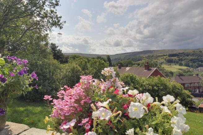 View from garden 1