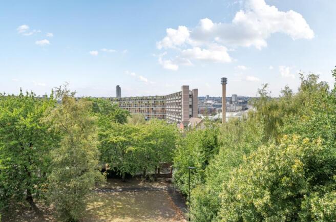 View from Living Room