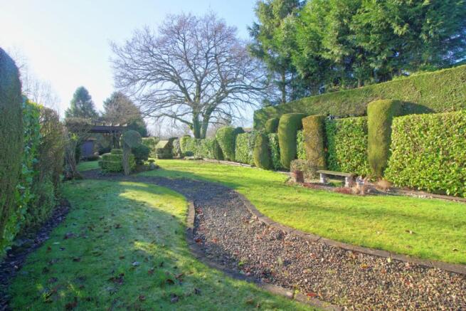 Garden at Rear