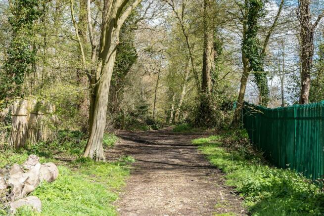 Sherrardspark woods