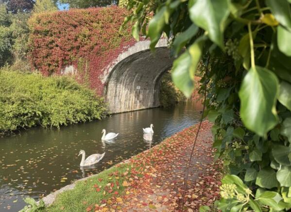 VIRTUALLY STAGED - AUTUMN SCENE