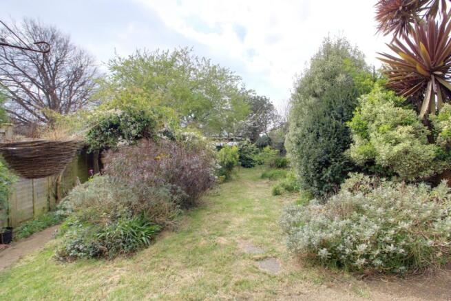 Back Garden 1