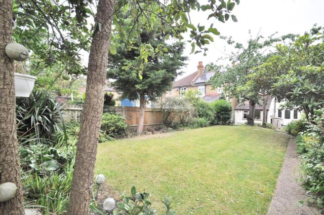 garden 1