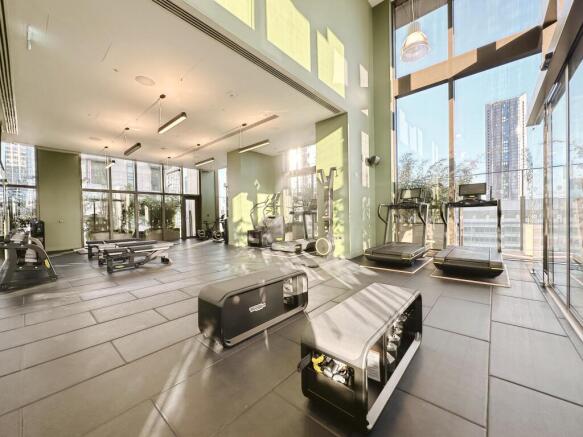 Gym.jpeg