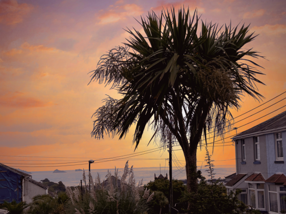 View from Garden