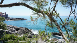 Photo of Lerici, La Spezia, Liguria