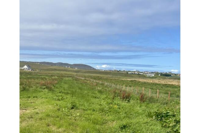 Surrounding Area