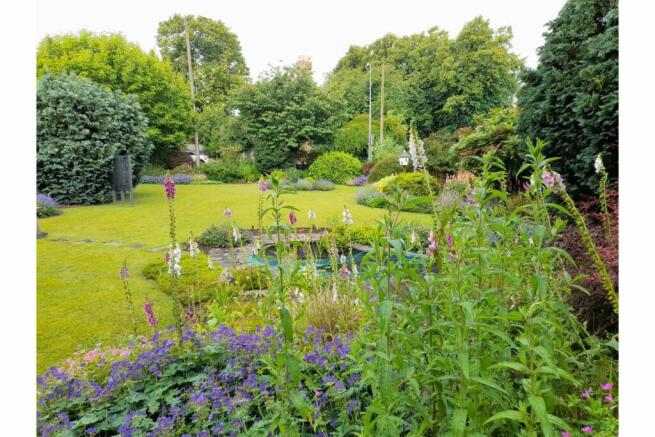 Side Garden