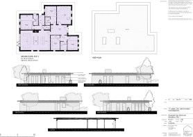 249-PL(21)01 Proposed Plans and Elevations- Plot 1