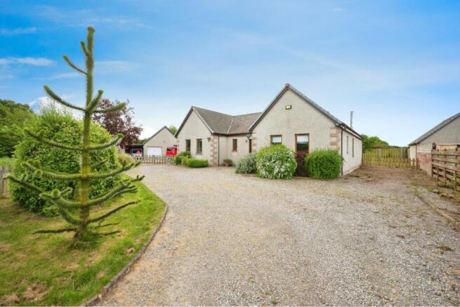 The Property