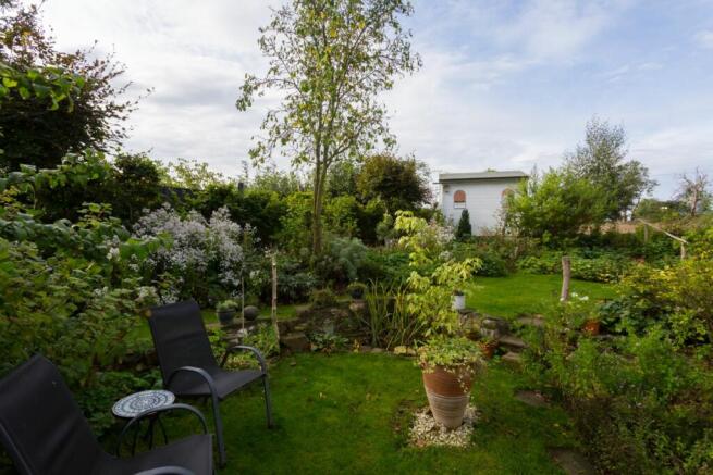 Mature Garden