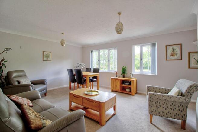 Light-filled living room