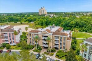 Photo of Florida, Osceola County, Reunion