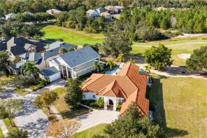 Photo of Florida, Osceola County, Reunion