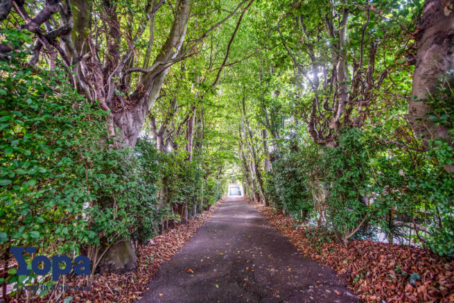 Tree lined private driveway