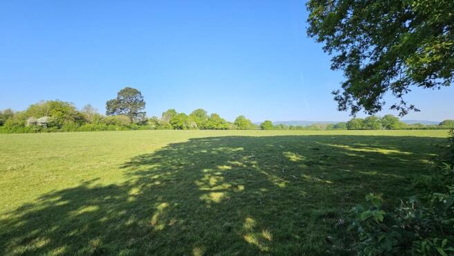 View from garden