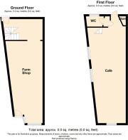 Floor/Site plan 1