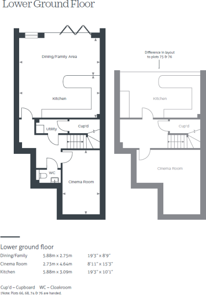 Lower Ground Floor