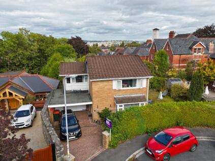 Fields Park Avenue, Newport, NP20