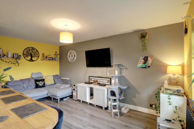 Lounge Area 1.1