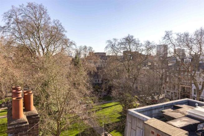 Roof Terrace