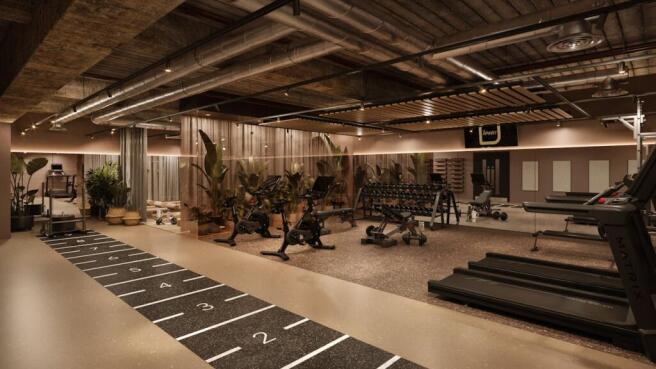 The Apiary  Gym _241122.jpg