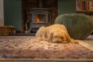 Log burner