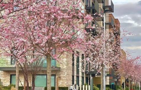 Greenleaf Walk, Arber House, UB1