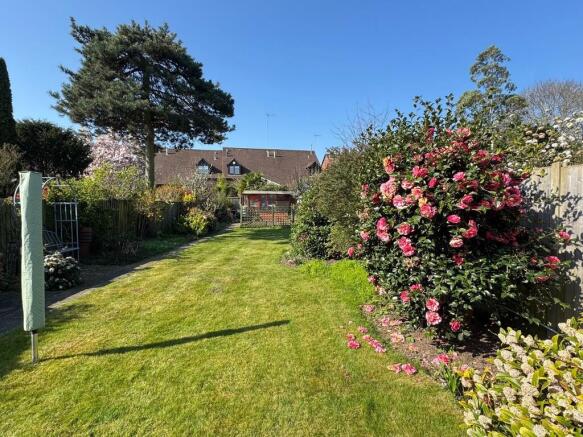 Rear Garden April