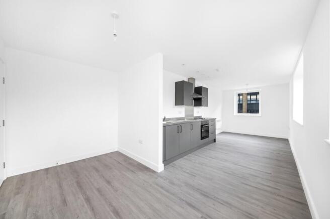 Open Plan Kitchen and Living Area