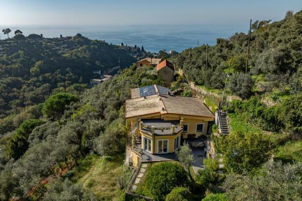 Hills Of Recco