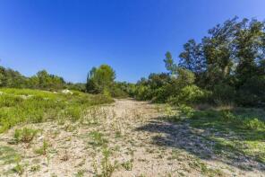 Photo of Plot, Pollensa, Mallorca